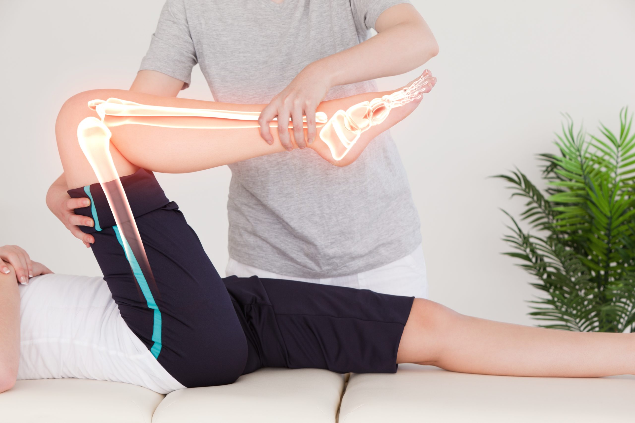 Chiropractic care specialist working with a patient on knee rehabilitation, showing a highlighted view of the knee joint's bones on the patient's leg.